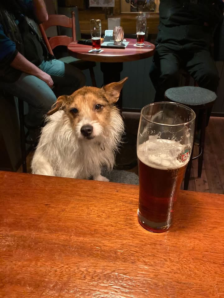 Tierisch gute Stimmung in der AKKA. Das Fass Weihnachtsbier muss doch …